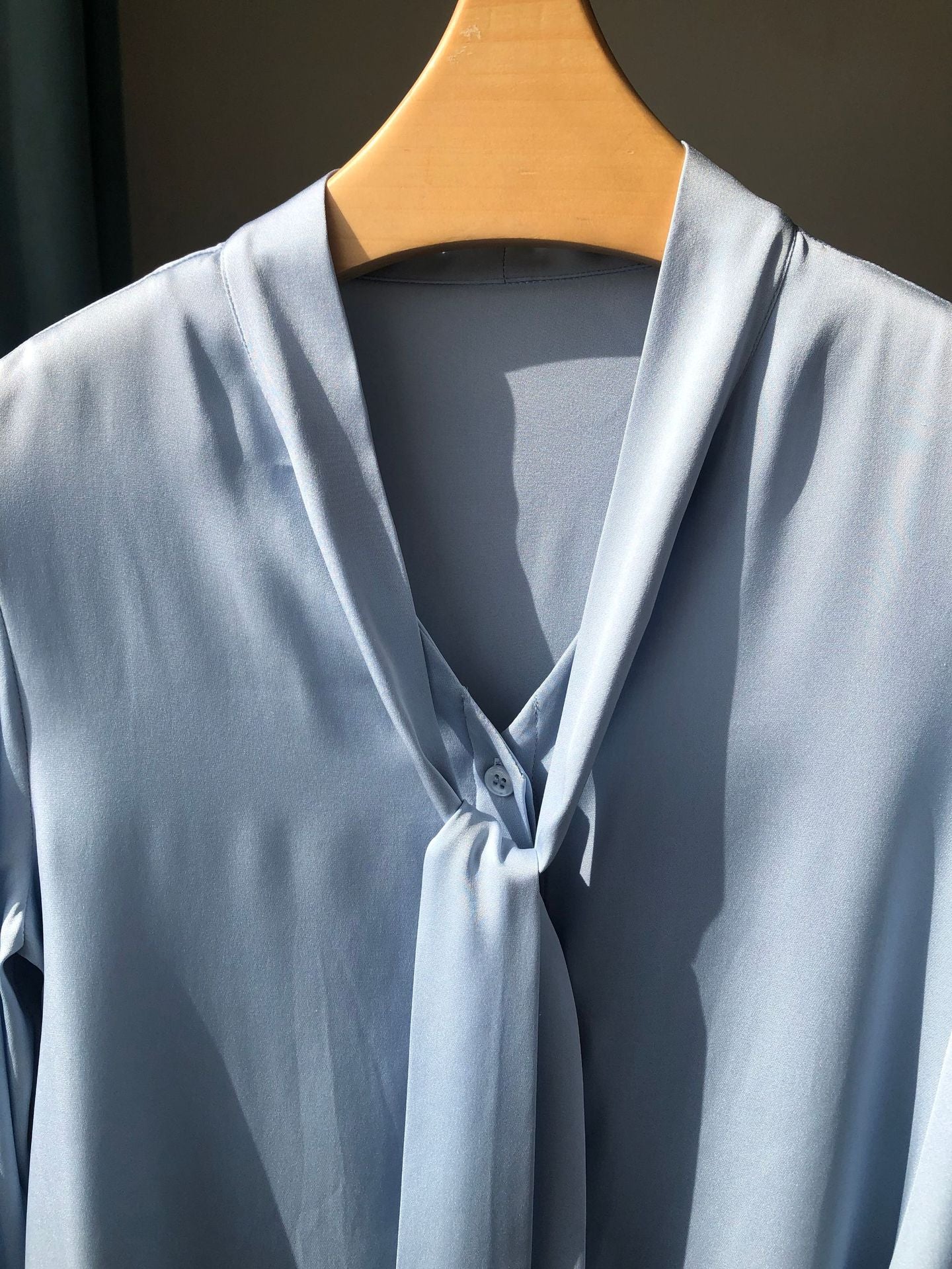 Elegant Tie Neck Long Sleeve Shirred Silky long-sleeved shirt V-neck streamer
